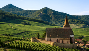 France wine region